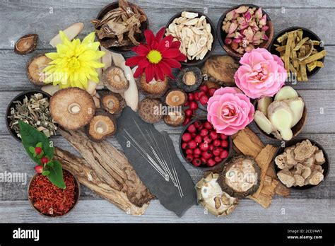 Hierbas Chinas Especias Y Flores Con Agujas De Acupuntura Utilizadas