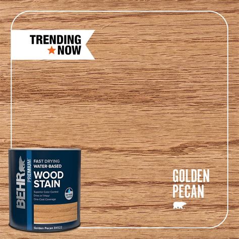 BEHR PREMIUM 1 Qt TIS 522 Golden Pecan Transparent Fast Drying Water