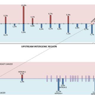 Ret mutations in non-coding regions of the Ret gene (UCSC hg19 genome ...