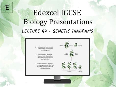 Edexcel Igcse Biology Lecture 44 Genetic Diagrams Teaching Resources