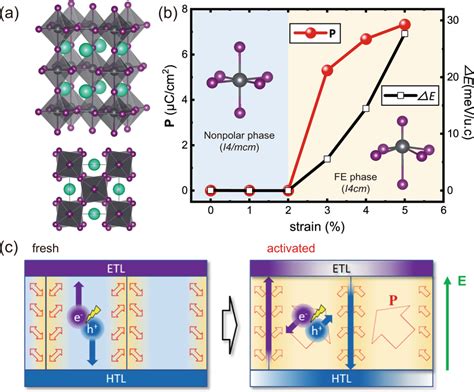 Synergistic Effect Of Ferroelasticity And Photovoltaic A Crystal Download Scientific Diagram