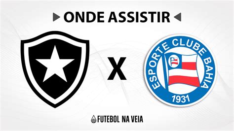 Botafogo x Bahia Onde assistir ao vivo horário do jogo e escalações