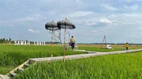 Sawah Lukis Lokasi Wisata Di Kota Binjai Yang Terinspirasi Dari Jepang