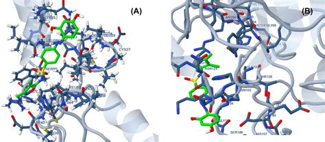 Protein Inhibitor Complex For 1jm7 And 2hq6 Receptors A B Respectively Download