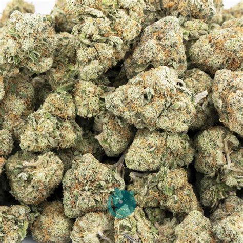 Dutch Dream Aaa Indica West Coast Releaf Online Dispensary In Canada