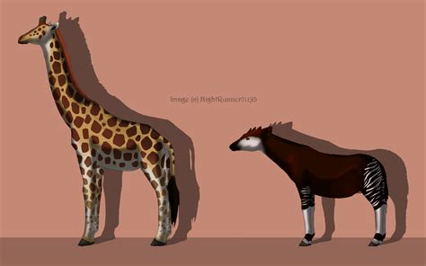 Giraffe Vs. Okapi by Morgan-Michele on DeviantArt