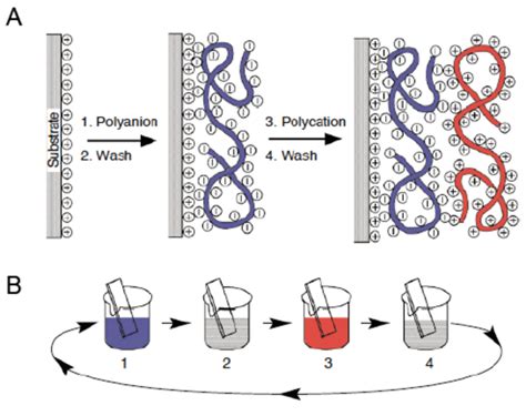 Principle Of The Layer By Layer Assembly Technique A Schematic