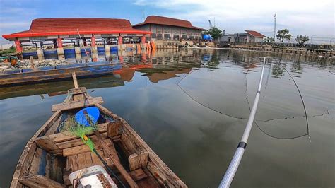 Naik PerahuIkan Penghuni Aliran Sungai Air Payau YouTube