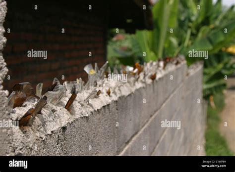 Broken Barrier Hi Res Stock Photography And Images Alamy