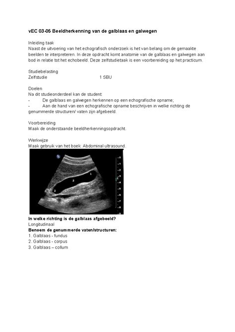 EC 03 05 Beeldherkenning Van De Galblaas En Galwegen In Deze Opdracht