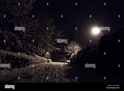 Snowing in the night scene Stock Photo - Alamy