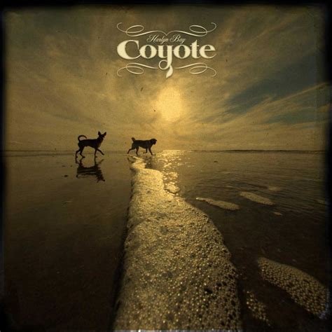 Rootsy Stew Song And Lyrics By Coyote Spotify