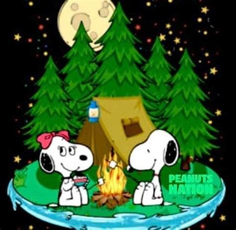 Pin By Barbara Melcher On Peanut Gang Snoopy Images Snoopy Pictures