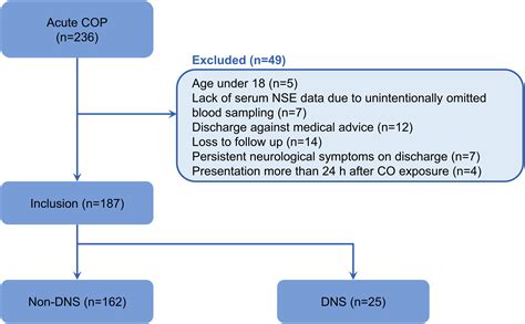 Prediction Of Delayed Neuropsychiatric Sequelae After Carbon Monoxide