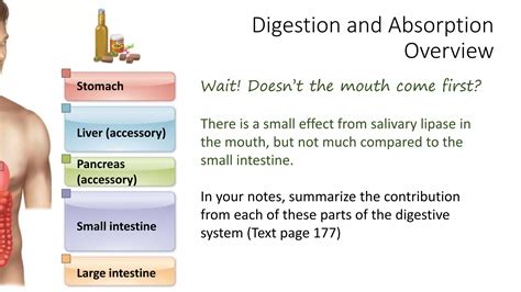 Digestion And Absorption Of Lipids Ppt