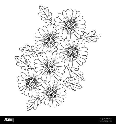 Chamomile And Daisy Flower Coloring Page Design With Detailed Line Art