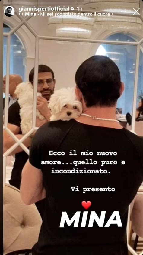 Gianni Sperti Fidanzato Sono Innamorato La Confessione Foto