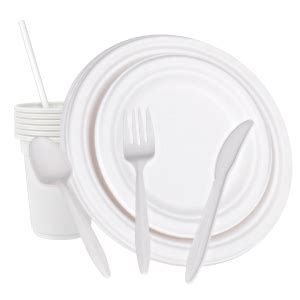 400Pcs Platos Desechables Elegantes Protección Ambiente Bagasse