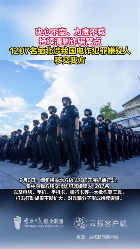 重拳再出击！1207名缅北电诈犯罪嫌疑人成功移交我方公安机关执法部门新浪新闻