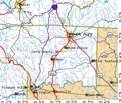 surry county north carolina detailed profile houses real estate
