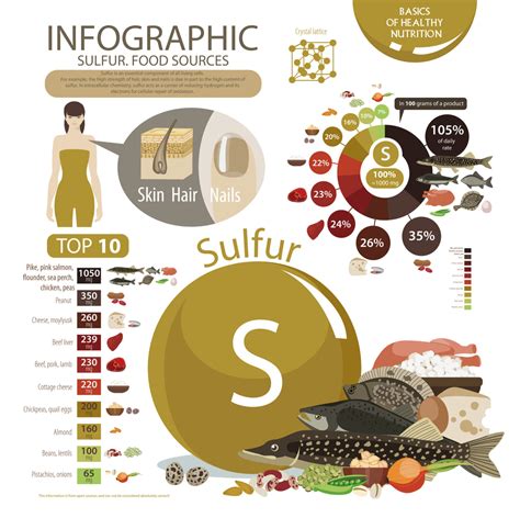 Sulfur – Biophysica