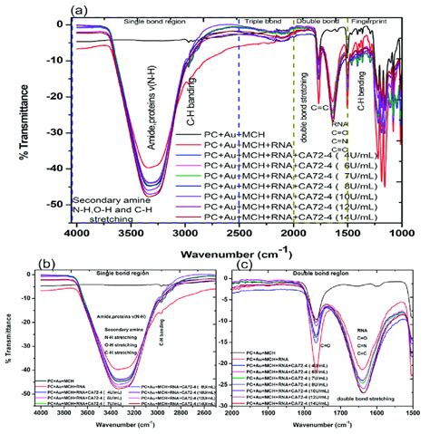 Fourier Transform Infrared Spectroscopy Ftir Transmittance Spectra Of Download Scientific