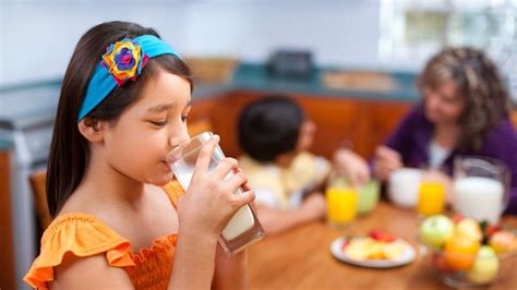 Cómo debe ser la alimentación de un niño en edad escolar RPP Noticias