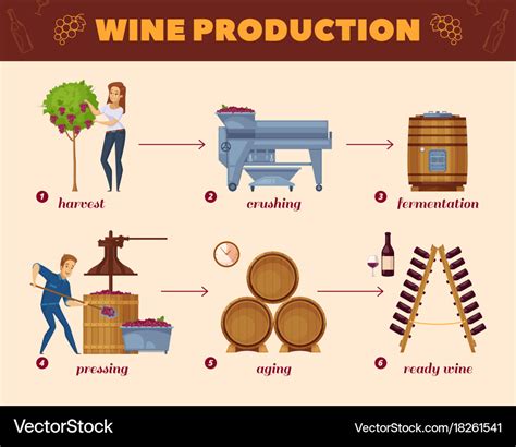 Wine Production Process Cartoon Flowchart Vector Image | The Best Porn Website