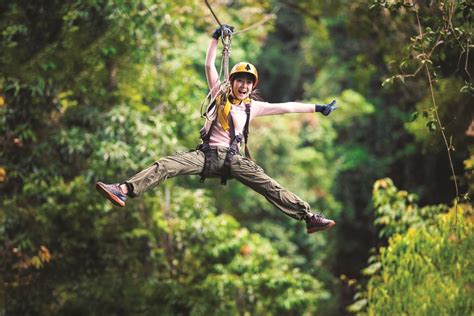 Treetops Adventure Zipline Course Cape Tribulation Daintree