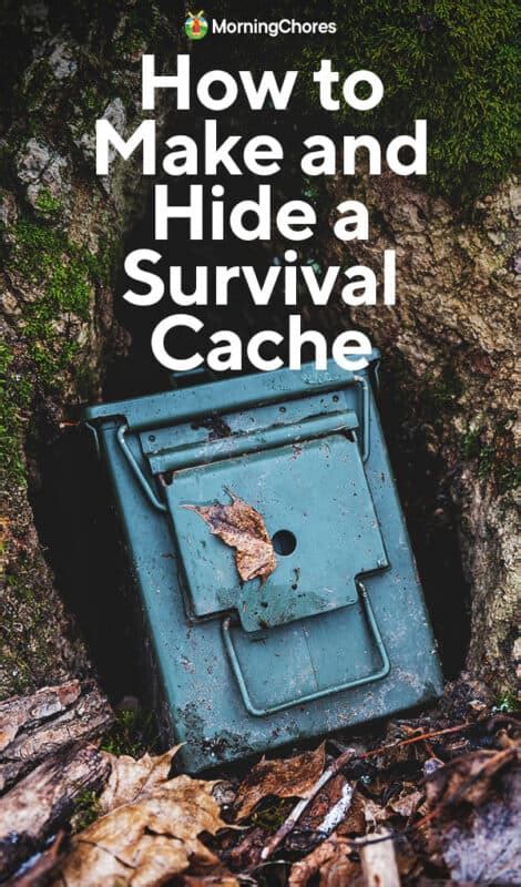 Survival Cache