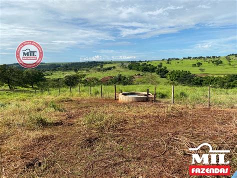 Mil Fazendas Fazenda De 40 Alqueires 194 Hectares Em Goiatuba GO