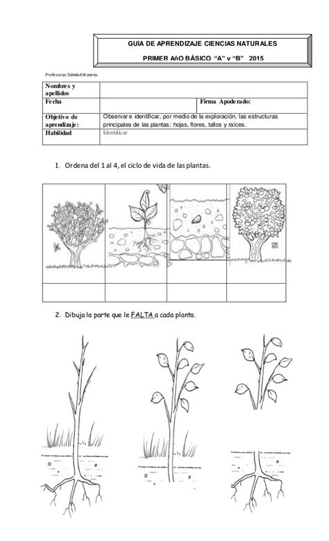 Profesoras Soledadaravena 1 Ordena Del 1 Al 4 El Ciclo De Vida De  Ciclos De Vida De Las