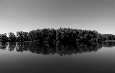 Free Images Landscape Tree Water Nature Grass Horizon Cloud Black And White Sky Mist