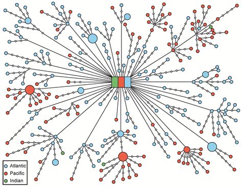 Cytochrome B Gene Haplotype Network This Figure Was Obtained Using