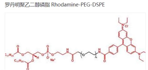 Rhodamine Peg Dspe Dspe Peg Rhodamine Peg Udp Mof