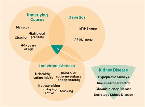 Genetics and Kidney Disease | National Kidney Foundation