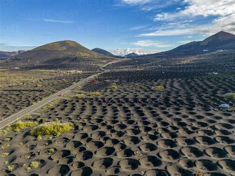 Aerial View Of Wine Growing District Of La Geria Timanfaya National