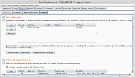 Burp Suite Web Security Testing A Complete Guide