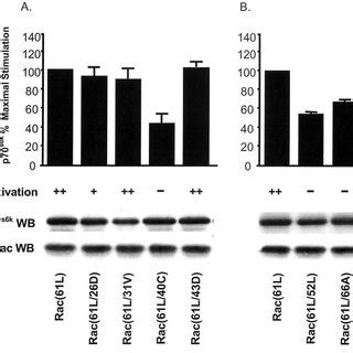 Activation Of P S K By Rac L Effector Mutants Correlates With