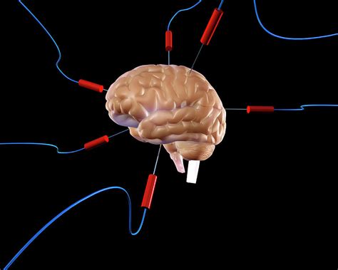 Brain Experiment by Science Photo Library