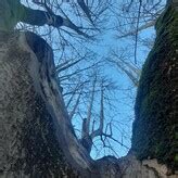 Beeboo Girl Honey Beeboo Nude OnlyFans Leaks Fappening FappeningBook