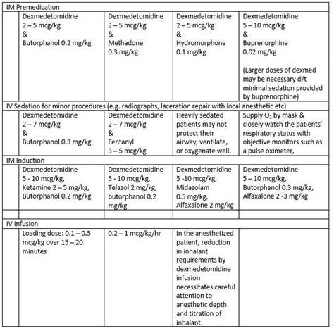 Dexmedetomidine in Detail