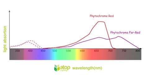 The Impact On Crops Of Nm Far Red Light In Led Grow Light Atop