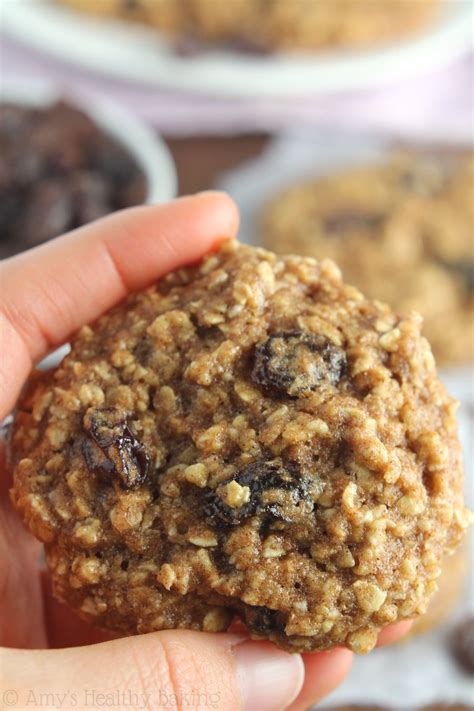 diabetic oatmeal cookies with stevia