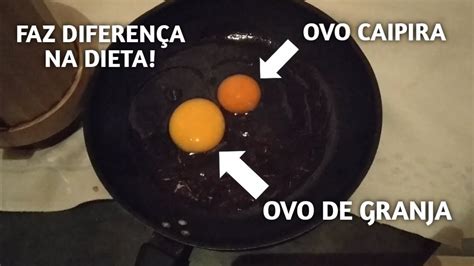 OVO DE GRANJA E OVO CAIPIRA FAZ MUITA DIFERENÇA NA DIETA YouTube