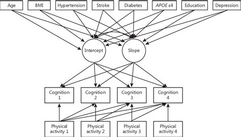 Figure 1 From Sex Differences In The Impact Of Bdnf Genotype On The Longitudinal Relationship