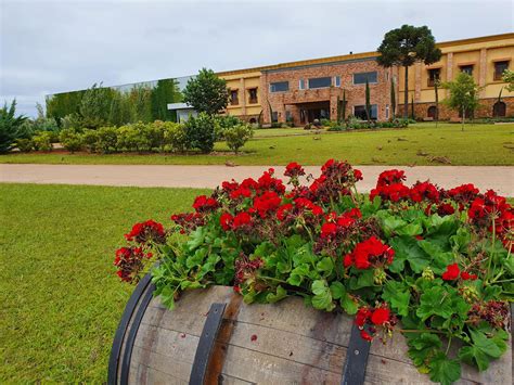 Vinícola Campestre enoturismo em Campos de Cima da Serra