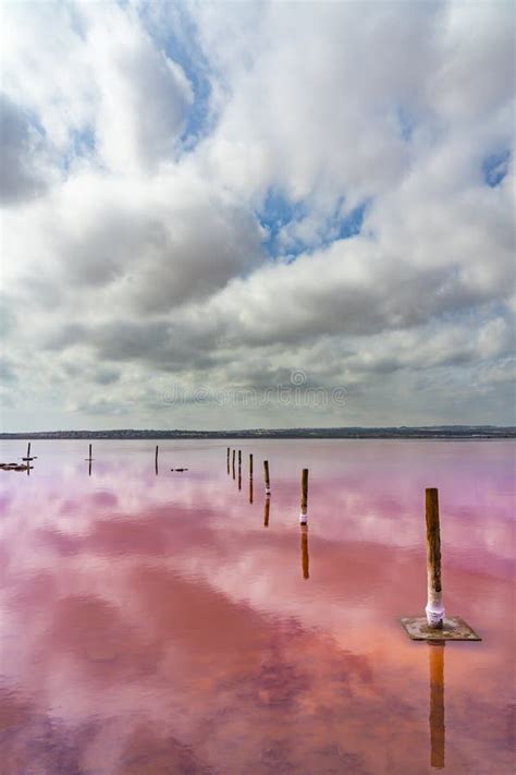 Torrevieja Pink Lake At Natural Park De Las Lagunas De La Mata E