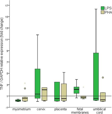 Fold Changes In TNF Relative Expression Using GAPDH As Reference The