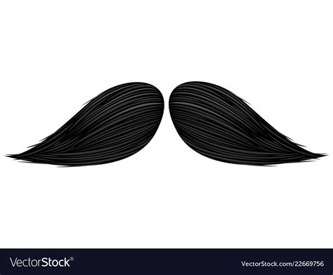 Isolated detailed mustache Royalty Free Vector Image